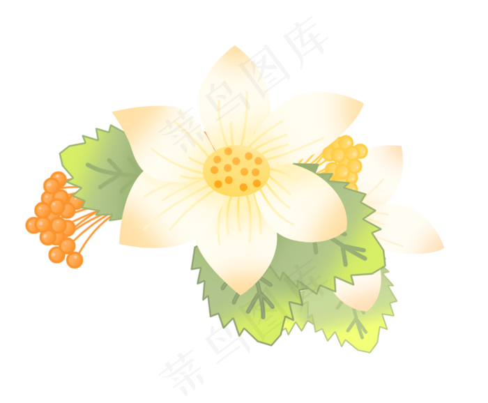 优美花卉植物(2500X2064(DPI:300))psd模版下载