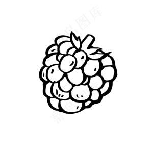 简笔画葡萄