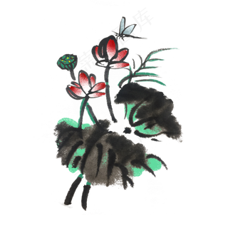 夏天清凉芙蓉手绘水墨