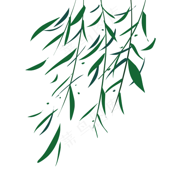 清明节绿色的柳叶(3000X3000(DPI:300))psd模版下载