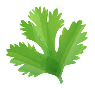 卡通绿叶植物生长免抠图