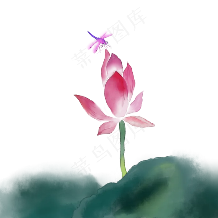 中国风手绘水彩风格荷花与蜻蜓(2000X2000(DPI:300))psd模版下载