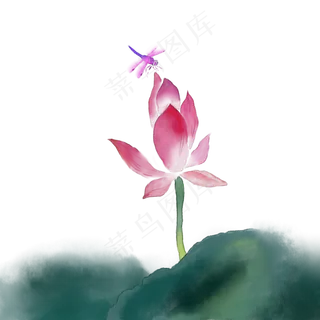中国风手绘水彩风格荷花与蜻蜓