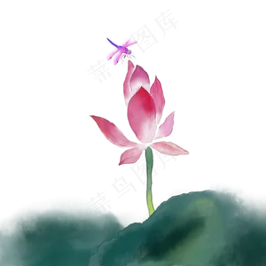 中国风手绘水彩风格荷花与蜻蜓