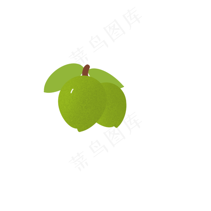 青梅果实绿色PNG
