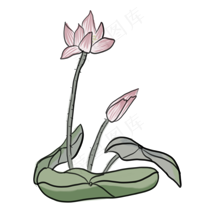 中国风水墨画荷花PNG素材