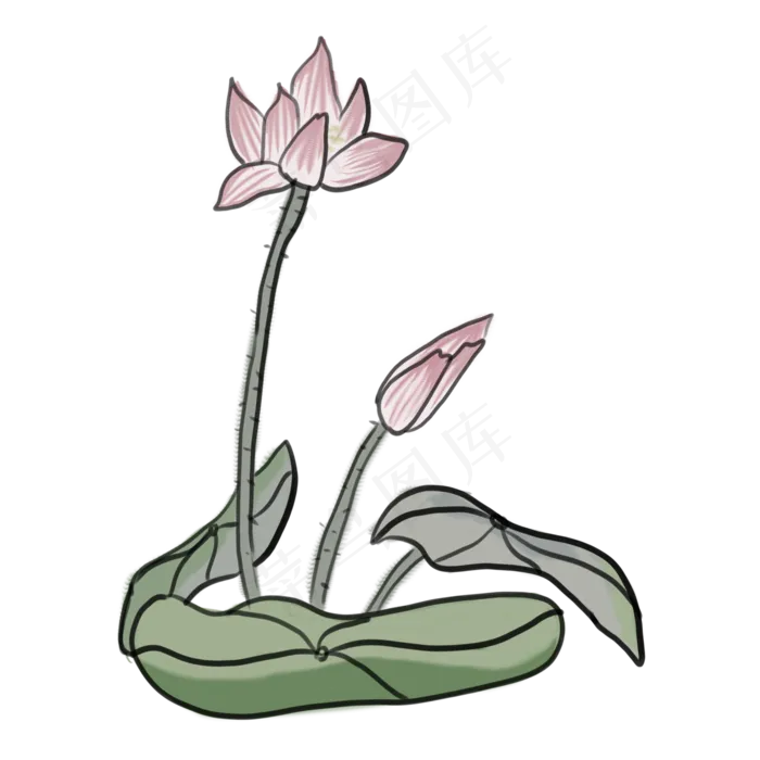 中国风水墨画荷花PNG素材(2000X2000(DPI:300))psd模版下载