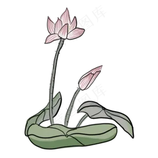 中国风水墨画荷花PNG素材