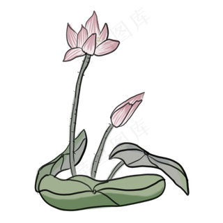 中国风水墨画荷花PNG素材