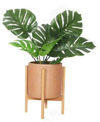 植物盆栽,免抠元素