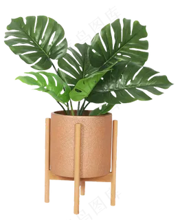 植物盆栽,免抠元素 植物盆栽,免抠元素