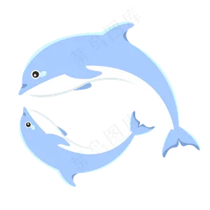 动物海洋世界海豚