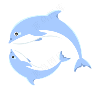 动物海洋世界海豚