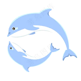 动物海洋世界海豚 动物海洋世界海豚