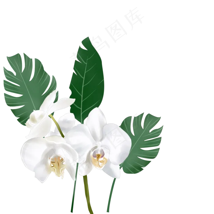 手绘白花绿叶,免抠元素(2000*2000px 300 dpi )psd模版下载