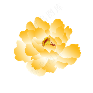 牡丹手绘牡丹黄牡丹富贵牡丹花朵,免抠元素