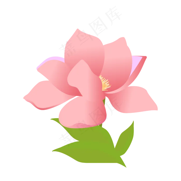 矢量免扣卡通玉兰花,免抠元素(4167*4167px 300 dpi )ai矢量模版下载