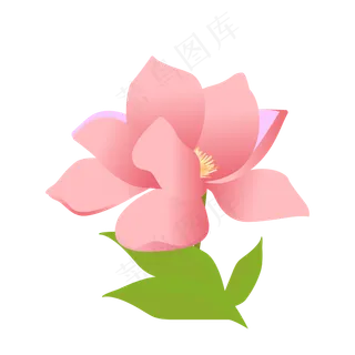 矢量免扣卡通玉兰花,免抠元素