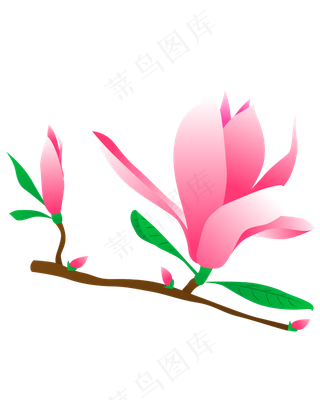 矢量免扣卡通玉兰花,免抠元素