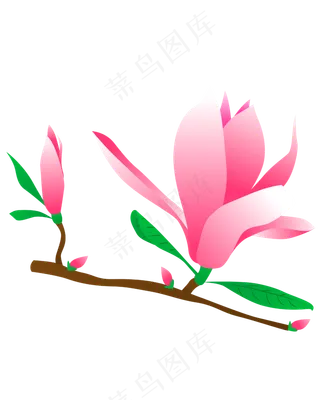矢量免扣卡通玉兰花,免抠元素