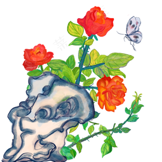 中国风水墨水彩工笔花开富贵手绘