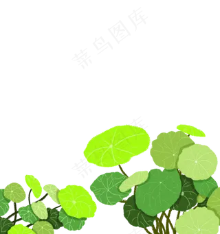 手绘植物绿色荷叶