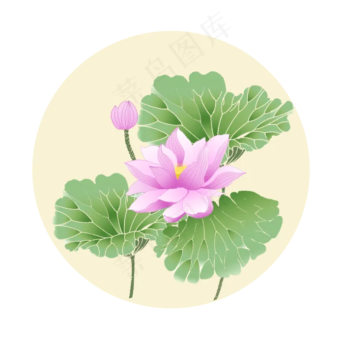 荷花荷花古典荷花国画荷花