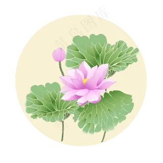 荷花荷花古典荷花国画荷花 荷花荷花古典荷花国画荷花