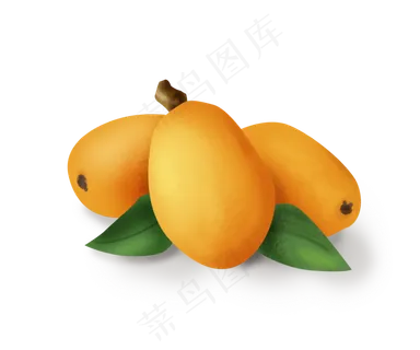 手绘南方水果枇杷