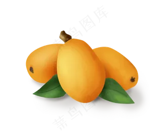 手绘南方水果枇杷