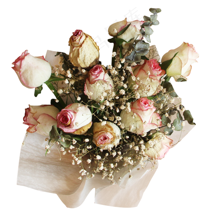 玫瑰花束(2181*2181px 300 dpi )