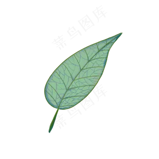 绿色装饰脉络叶子 绿色装饰脉络叶子