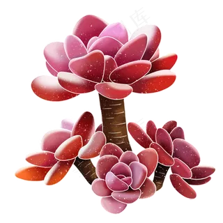 春季水彩植物多肉