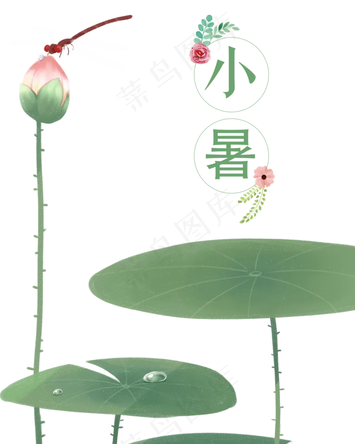 二十四节气小暑荷叶元素(2000X2000(DPI:300))psd模版下载