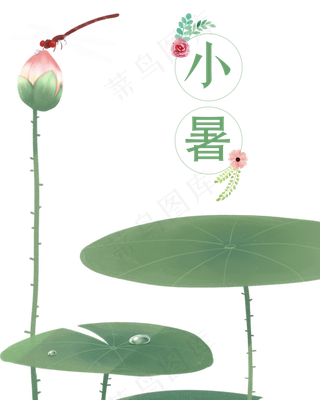 二十四节气小暑荷叶元素