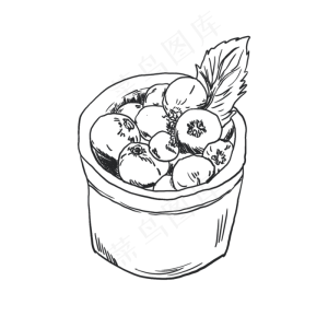 蓝莓手绘线稿素材