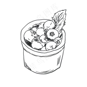 蓝莓手绘线稿素材