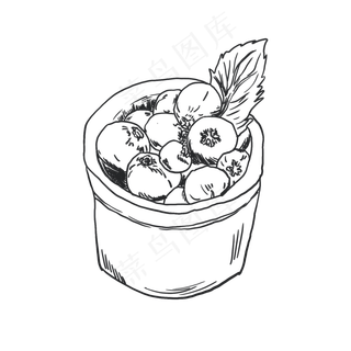 蓝莓手绘线稿素材