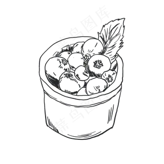 蓝莓手绘线稿素材