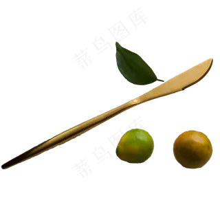 两个橘子水果吃的