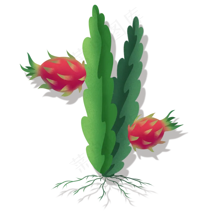 火龙果热带水果新鲜(2000X2000(DPI:300))psd模版下载