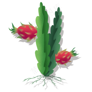 火龙果热带水果新鲜