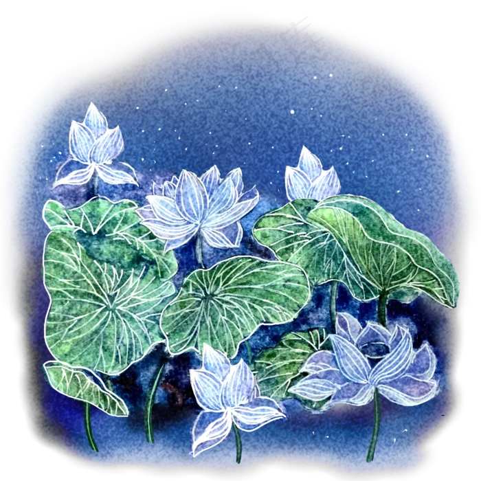 星空夜晚下的荷叶荷花(2480X2480(DPI:299))psd模版下载