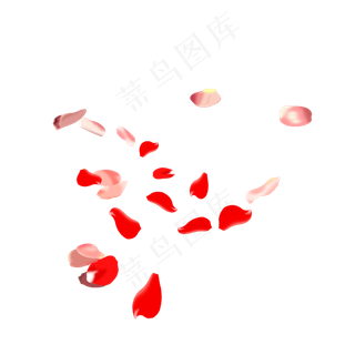 混合在一起落下的粉色玫瑰花瓣与
