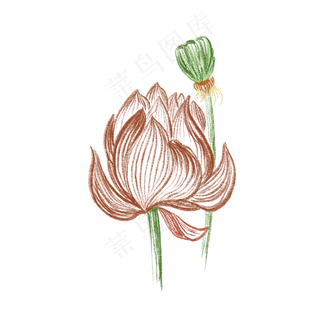 写意中国画荷花莲蓬免抠创意插图