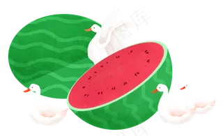 西瓜鸭子