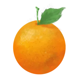 桔子橘色橘黄圆形