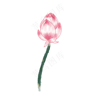 夏日中国风荷花免抠元素PNG