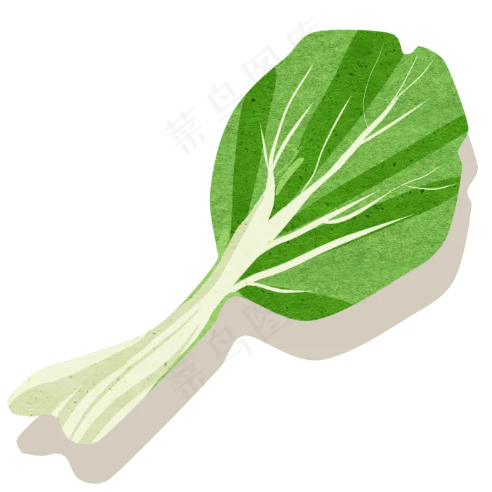 卡通手绘青菜一大颗一(2000X2000(DPI:300))psd模版下载