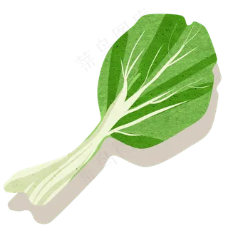 卡通手绘青菜一大颗一